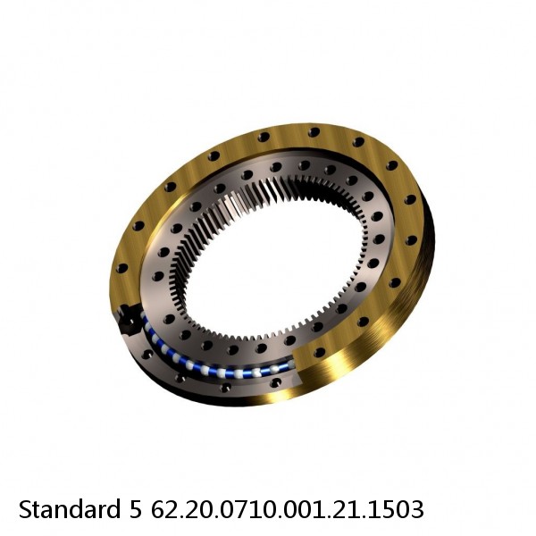 62.20.0710.001.21.1503 Standard 5 Slewing Ring Bearings