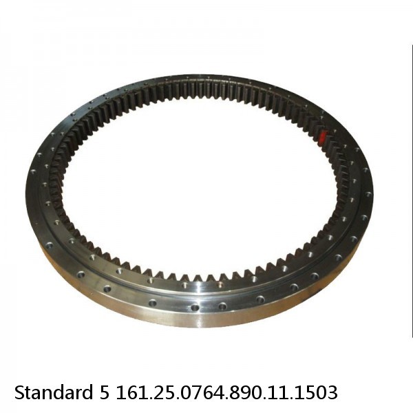 161.25.0764.890.11.1503 Standard 5 Slewing Ring Bearings