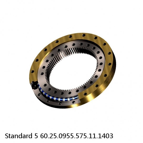 60.25.0955.575.11.1403 Standard 5 Slewing Ring Bearings