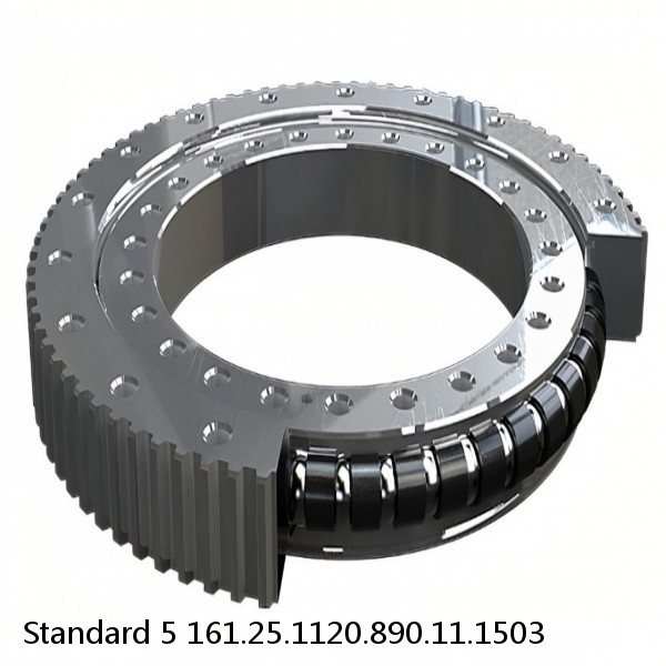 161.25.1120.890.11.1503 Standard 5 Slewing Ring Bearings