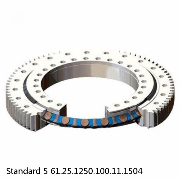 61.25.1250.100.11.1504 Standard 5 Slewing Ring Bearings