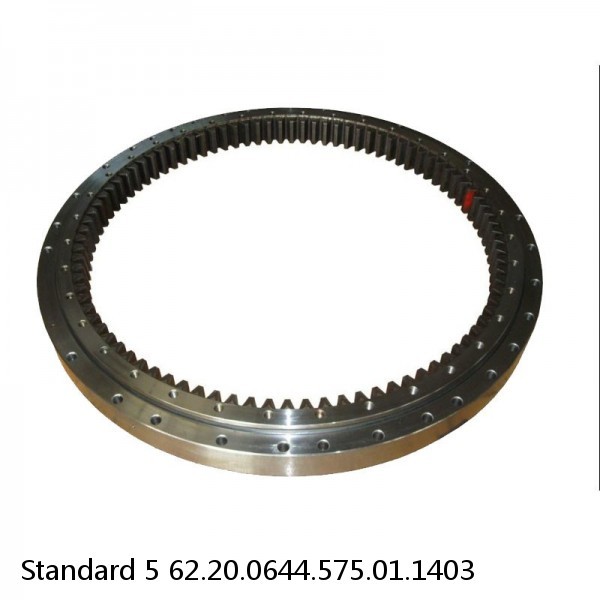 62.20.0644.575.01.1403 Standard 5 Slewing Ring Bearings