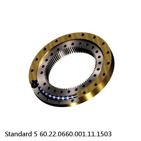 60.22.0660.001.11.1503 Standard 5 Slewing Ring Bearings