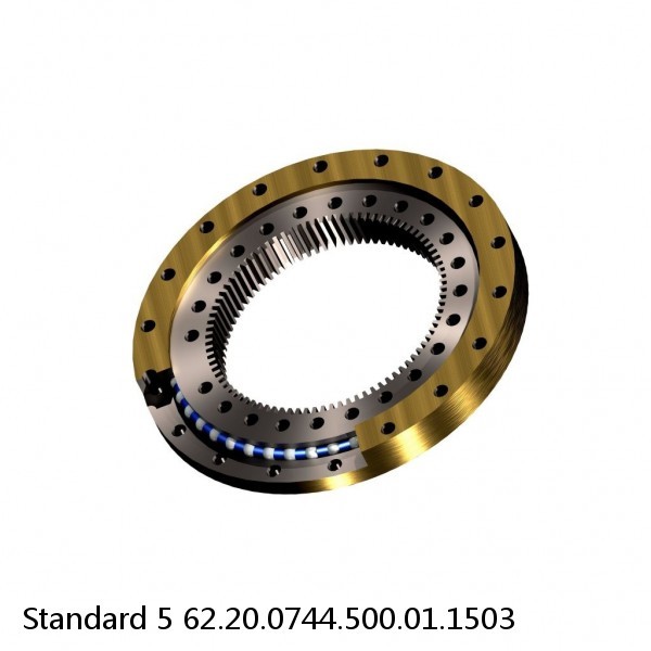 62.20.0744.500.01.1503 Standard 5 Slewing Ring Bearings