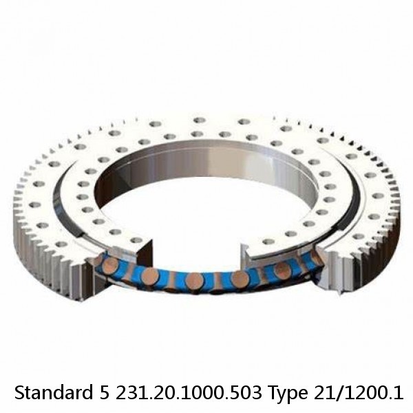 231.20.1000.503 Type 21/1200.1 Standard 5 Slewing Ring Bearings