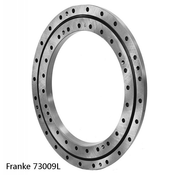 73009L Franke Slewing Ring Bearings