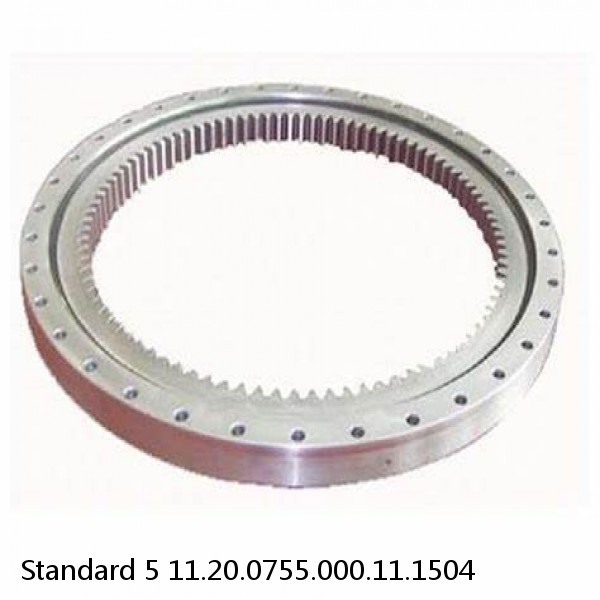 11.20.0755.000.11.1504 Standard 5 Slewing Ring Bearings