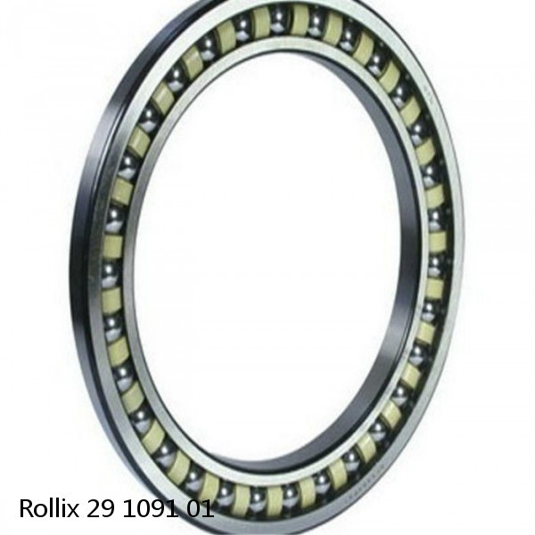 29 1091 01 Rollix Slewing Ring Bearings