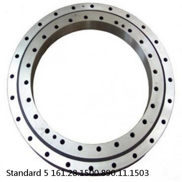 161.28.1500.890.11.1503 Standard 5 Slewing Ring Bearings