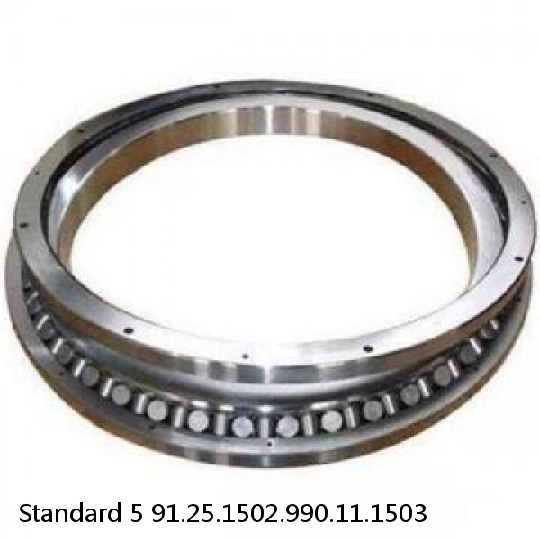 91.25.1502.990.11.1503 Standard 5 Slewing Ring Bearings