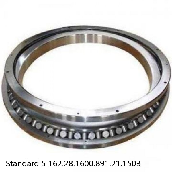 162.28.1600.891.21.1503 Standard 5 Slewing Ring Bearings