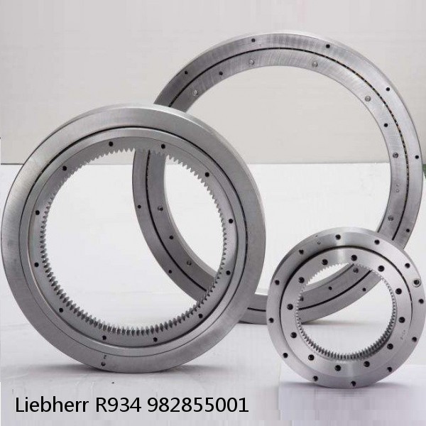 982855001 Liebherr R934 Slewing Ring