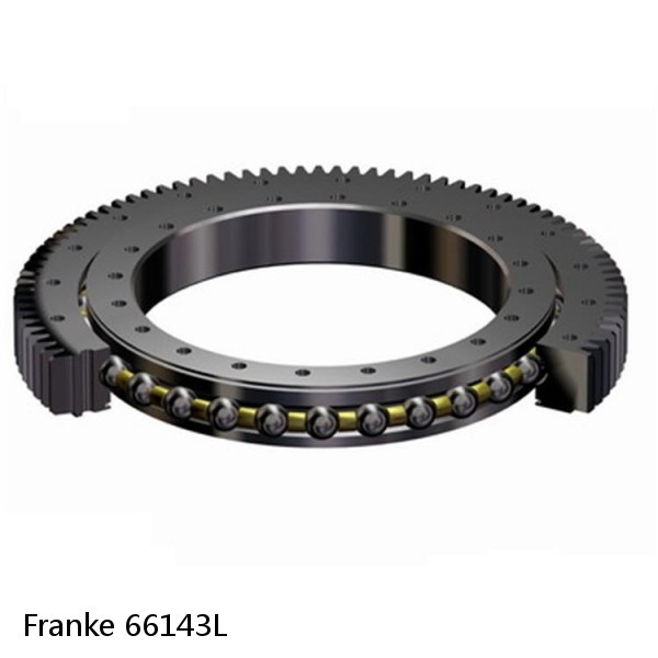 66143L Franke Slewing Ring Bearings