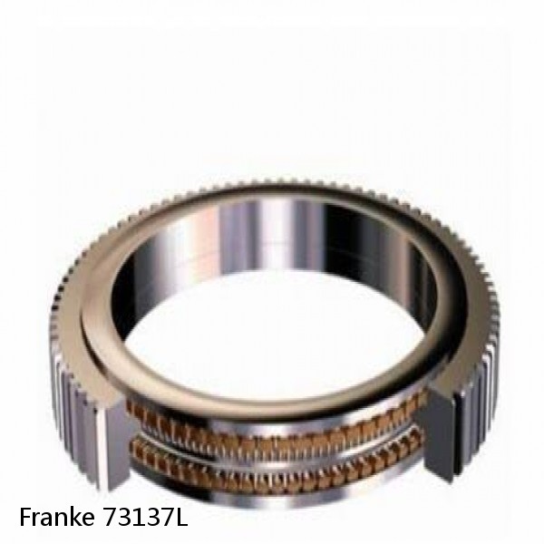 73137L Franke Slewing Ring Bearings