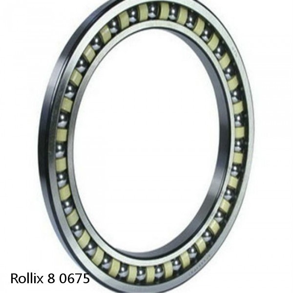 8 0675 Rollix Slewing Ring Bearings