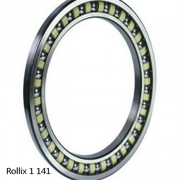 1 141 Rollix Slewing Ring Bearings