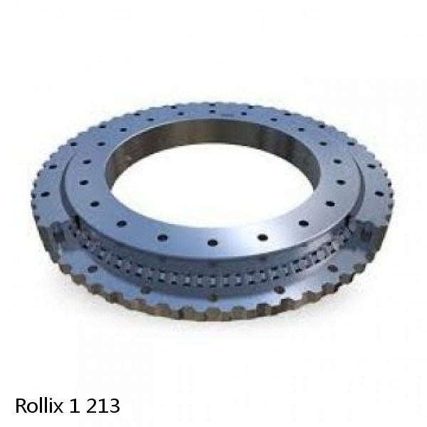 1 213 Rollix Slewing Ring Bearings