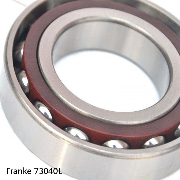 73040L Franke Slewing Ring Bearings