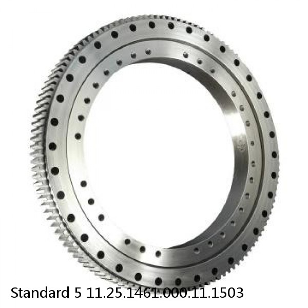 11.25.1461.000.11.1503 Standard 5 Slewing Ring Bearings