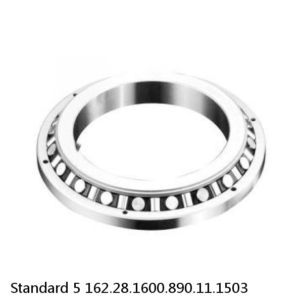 162.28.1600.890.11.1503 Standard 5 Slewing Ring Bearings