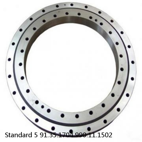 91.35.1704.990.11.1502 Standard 5 Slewing Ring Bearings