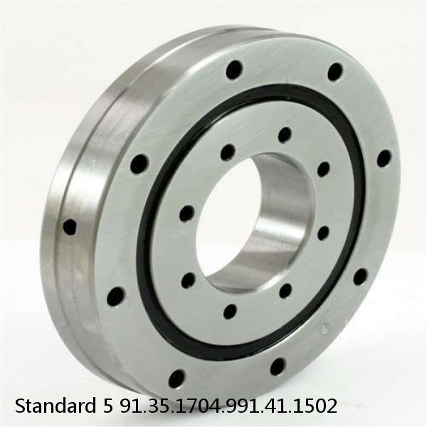 91.35.1704.991.41.1502 Standard 5 Slewing Ring Bearings