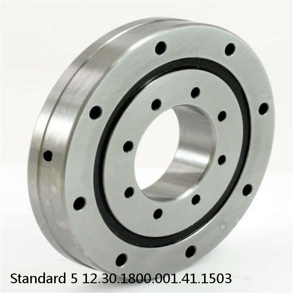 12.30.1800.001.41.1503 Standard 5 Slewing Ring Bearings