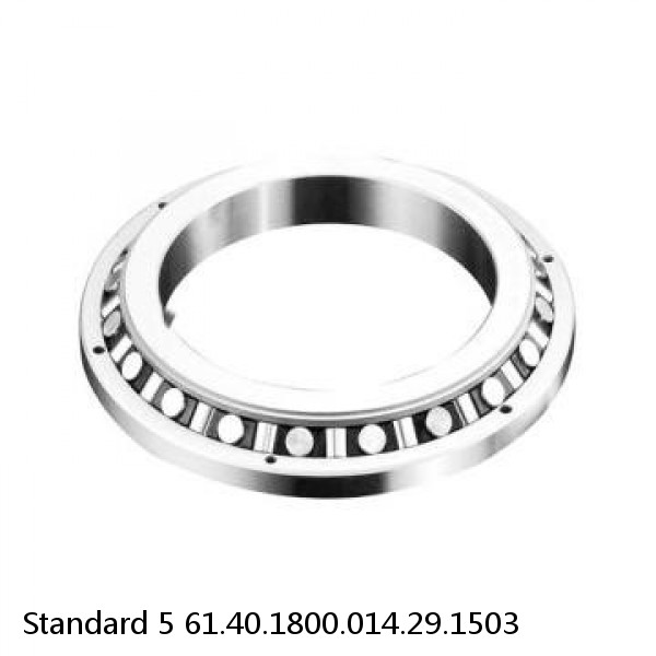 61.40.1800.014.29.1503 Standard 5 Slewing Ring Bearings