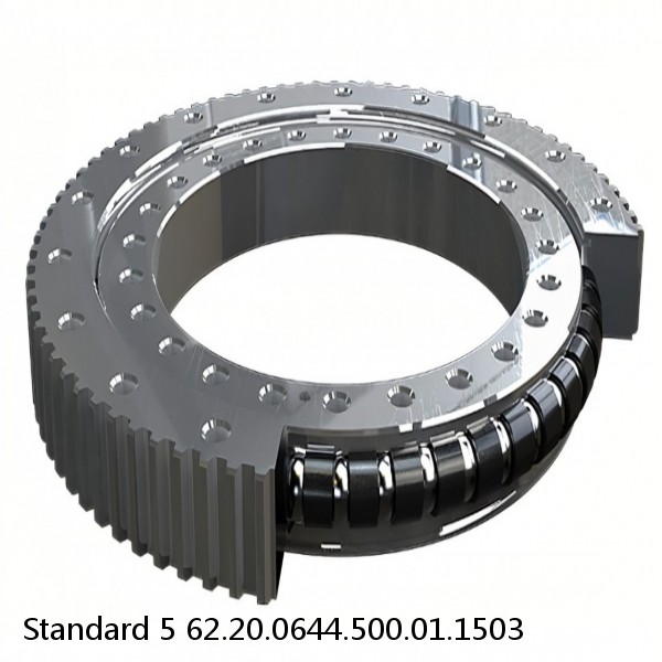 62.20.0644.500.01.1503 Standard 5 Slewing Ring Bearings