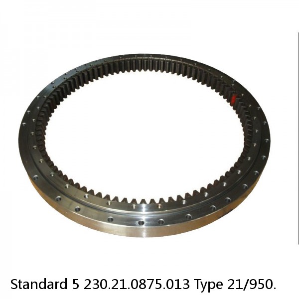 230.21.0875.013 Type 21/950. Standard 5 Slewing Ring Bearings