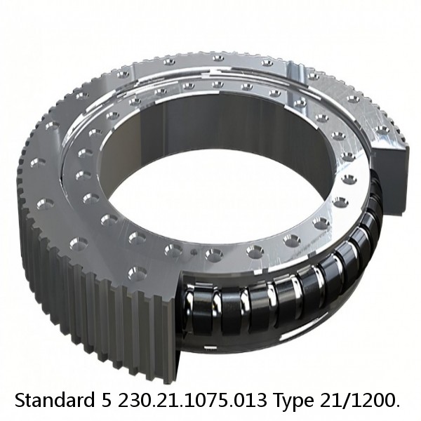 230.21.1075.013 Type 21/1200. Standard 5 Slewing Ring Bearings