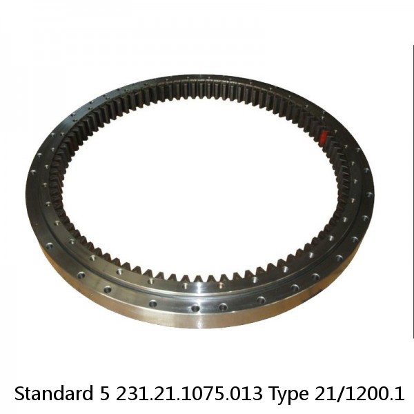 231.21.1075.013 Type 21/1200.1 Standard 5 Slewing Ring Bearings