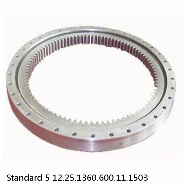 12.25.1360.600.11.1503 Standard 5 Slewing Ring Bearings