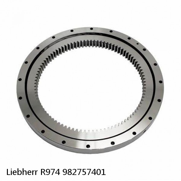 982757401 Liebherr R974 Slewing Ring