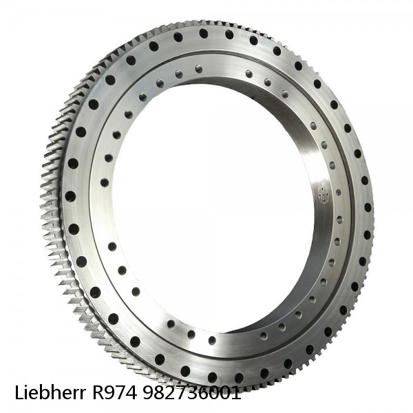 982736001 Liebherr R974 Slewing Ring