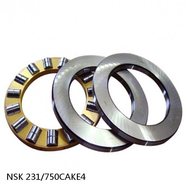 231/750CAKE4 NSK Spherical Roller Bearing